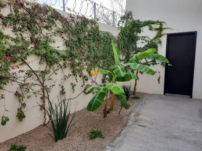 Jardín al aire libre en Casa Amor! Completely Private Home & Pool, Close Beach, Bikes