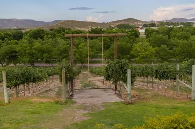 Paisaje cerca de este hotel