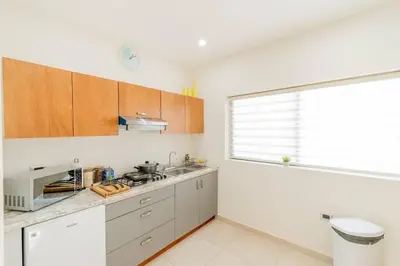 Una cocina o zona de cocina en LOFT Lujoso y Moderno Con Cama King en Centrico Historico