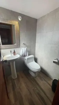 Un baño de Cabaña Alpina