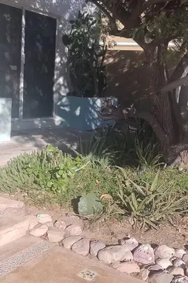 Jardín al aire libre en Lot # 7 ~ Large, Energetic Baja House