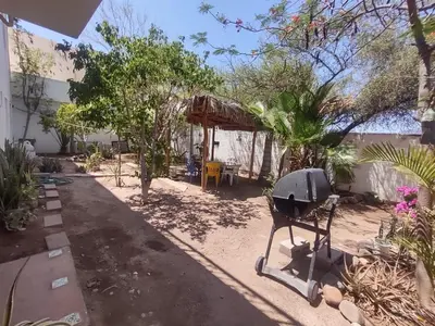 Jardín al aire libre en Lot # 7 ~ Large, Energetic Baja House