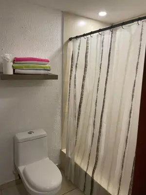 Un baño de Posada San Carlos 316
