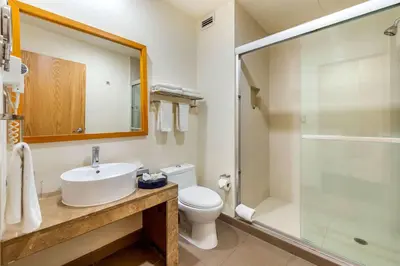 Un baño de Greenwood Hotel Torreón