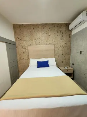 Cama o camas de una habitación en Hotel Roque