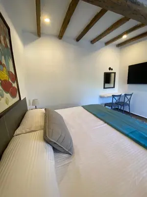 Una televisión o centro de entretenimiento en Hotel Tierra Marina Centro Historico