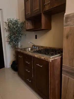 Una cocina o zona de cocina en The Black Tree Hotel Boutique