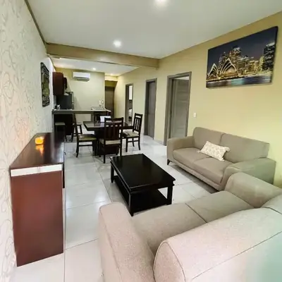 Hermoso y Amplio Departamento Olivo 3