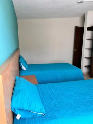 Plano de Oasis Urbano