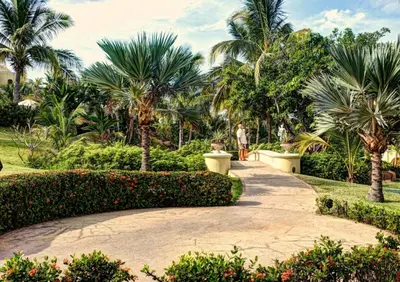 Jardín al aire libre en Pueblo Bonito Emerald Bay Resort & Spa