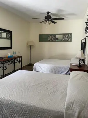 Plano de Casa Camilias