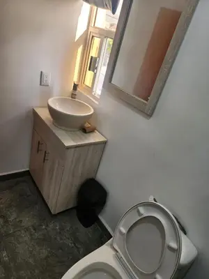 Un baño de Departamentos