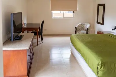 Una televisión o centro de entretenimiento en Hotel Plaza del Sol