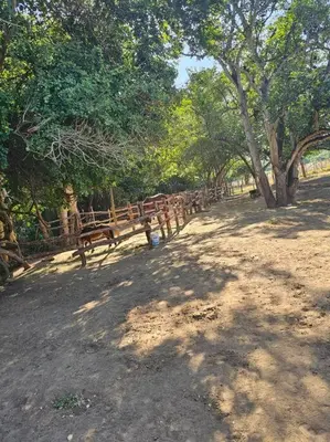 Plano de Hermosa casa vacacional