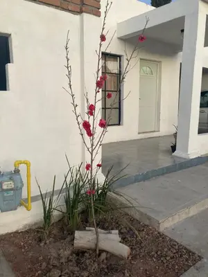 Edificio en el que se encuentra el apartamento