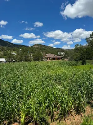 Paisaje cerca de este hotel
