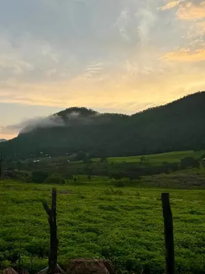 Paisaje cerca de este hotel