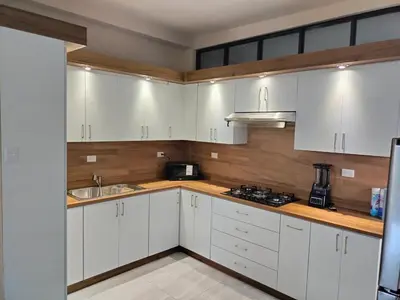 Una cocina o zona de cocina en Executive Apartment