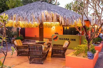 Jardín al aire libre en Iguana Inn