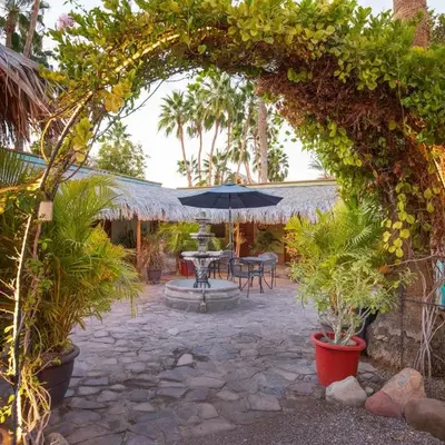 Iguana Inn