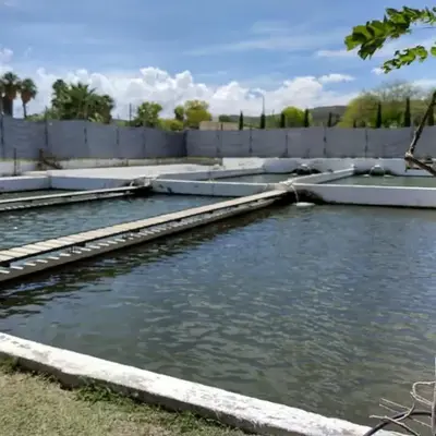 El salto del Río Conchos