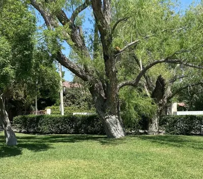 Jardín al aire libre en Casa Paloma