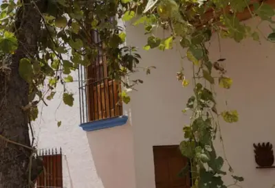 Edificio en el que se encuentra la casa o chalet
