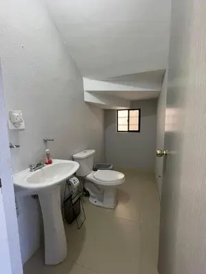 Un baño de GR20acd Panamericana