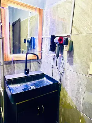 Un baño de Departamento Mateos 504