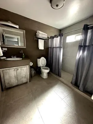 Un baño de AXEL Suites Departamento 1A