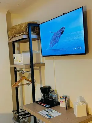Una televisión o centro de entretenimiento en Hotel Grand Lion