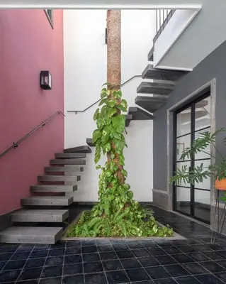 Plano de Casa Venus