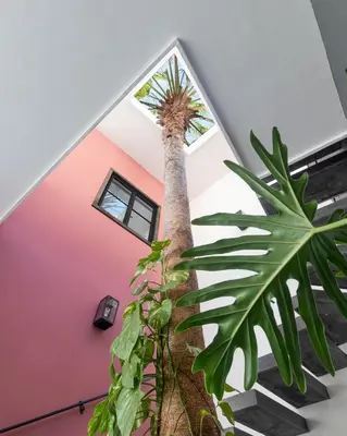 Plano de Casa Venus