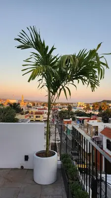 Un balcón o terraza de Casa Compañia