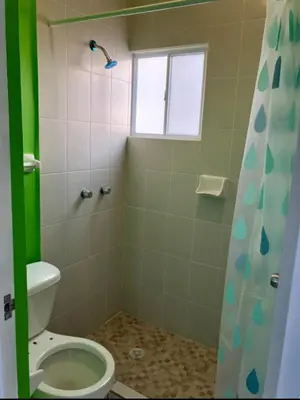Un baño de Departamento en segundo piso
