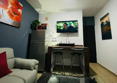 Una televisión o centro de entretenimiento en Departamento en zona turística