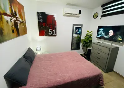 Una televisión o centro de entretenimiento en Departamento en zona turística