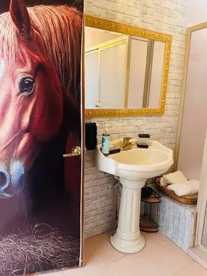 Un baño de Alojamiento ideal