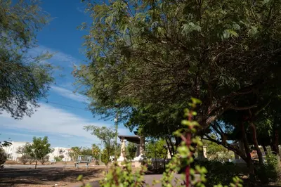 Paisaje cerca de este apartamento