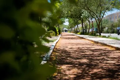 Plano de Departamento Palo Verde