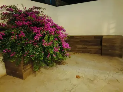 Jardín al aire libre en Residencial Fatima