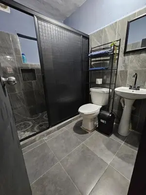 Un baño de Departamento Mateos 503