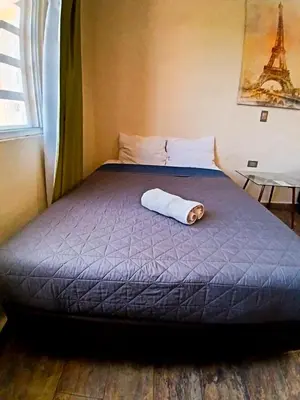 Cama o camas de una habitación en Suite París, Paseo Durango