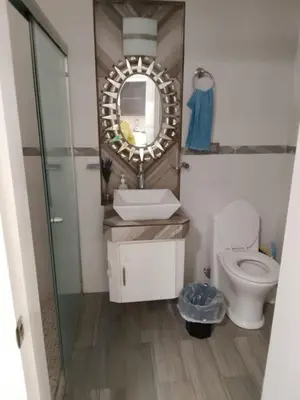 Un baño de Dpto Eden