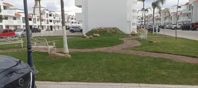El barrio de los alrededores o un barrio cerca de este apartamento
