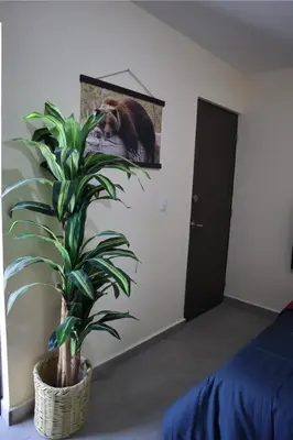 Cama o camas de una habitación en Departamento en residencial privada