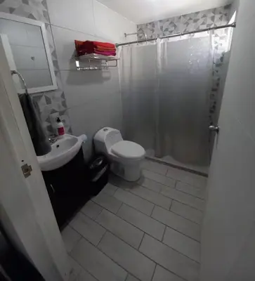 Un baño de Loft centrito