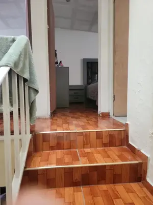 Plano de Casa Mary