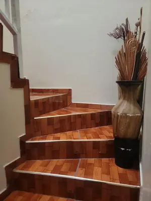 Plano de Casa Mary