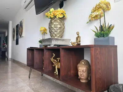 Plano de Zen & View